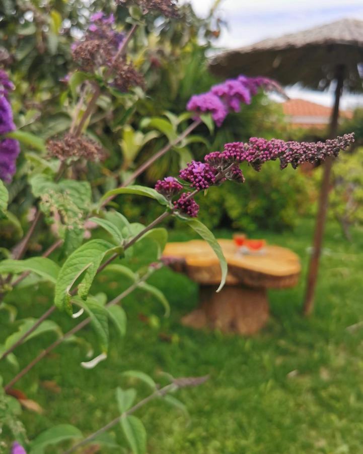 Aparthotel Maniatis Garden Achladies (Skiathos)