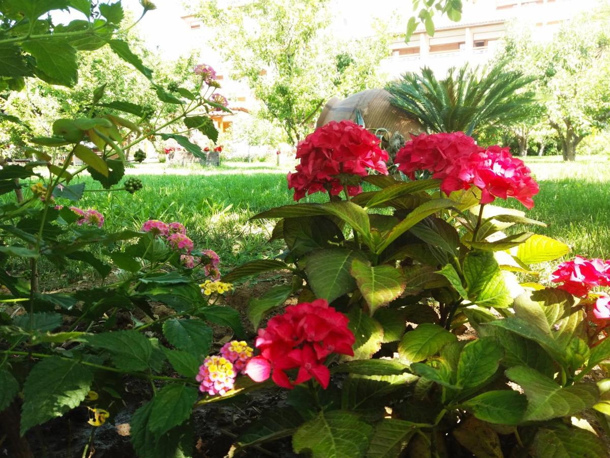 Maniatis Garden *