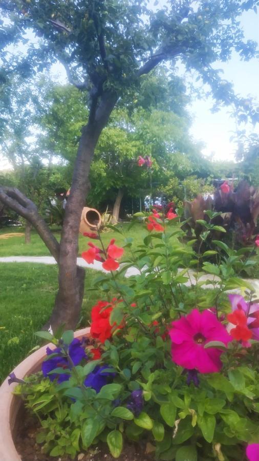 Maniatis Garden