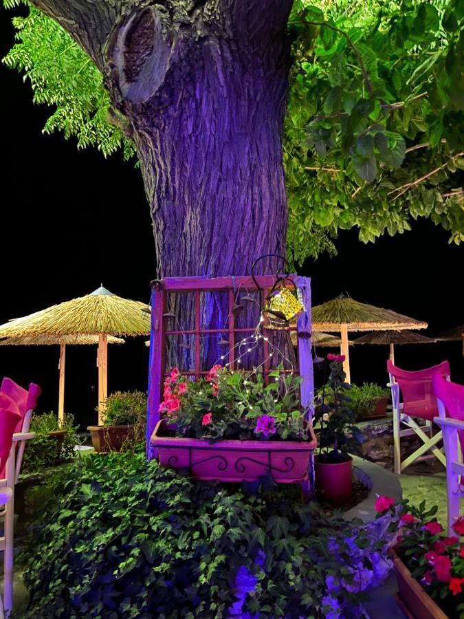 Aparthotel Maniatis Garden Achladies (Skiathos)