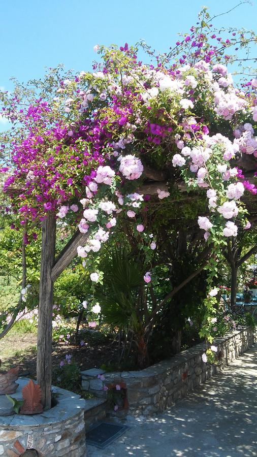 Aparthotel Maniatis Garden *