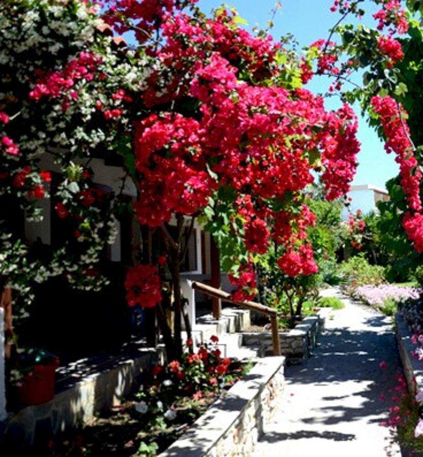Aparthotel Maniatis Garden *